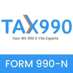 E-File Form 990-N icon