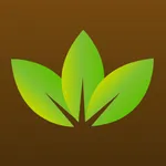 Wellspring Credit Union icon