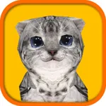 Cat Simulator HD icon