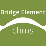 Bridge Element ChMS icon