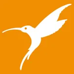 Bodyzone Cosmetics & Spa icon