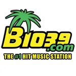 B1039 icon