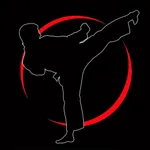 Taekwondo Training icon