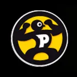 Paidesport icon