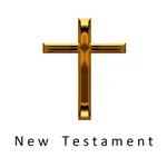 The Holy Bible Audiobook New Testament icon