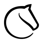 lichess • Online Chess icon