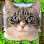 Stray Cat Simulator icon