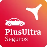 Auto Peritación icon