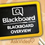 Overview for Blackboard Learn icon