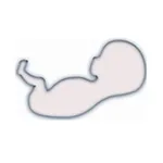 PideHora Dr. Massoc icon