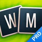 Word Master - Pro icon