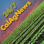 California Ag News 24/7 icon