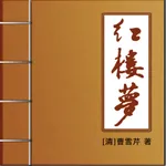 红楼梦名著 icon