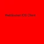 WebSocket Client icon