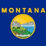 Montana Classic Solitaire icon