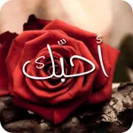 صور الحب icon