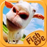 Fish Eye Camera - Selfie Photo Editor with Lens, Color Filter Effects icon