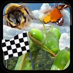 Insect Race icon