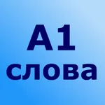 300 английских слов icon