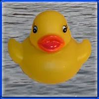 Duck Invader icon