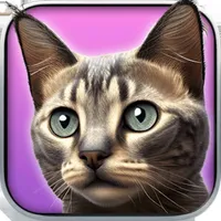 My Kitten (Cat Simulator) icon