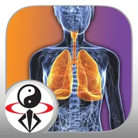 Qigong Breathing Video Lesson icon