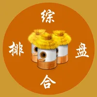 综合排盘 icon