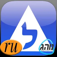 Теория Обучения - לימוד תאוריה ברוסית icon