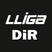 Lliga DIR icon