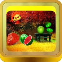 Slicing Fruit icon