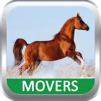 Movers icon