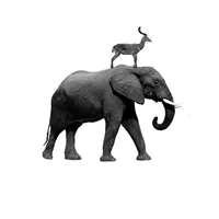 GaDangme icon
