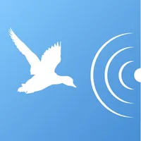 iDecoy for bird icon