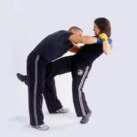 Krav Maga Master Class icon