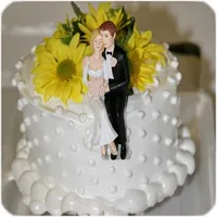 Wedding Cake Ideas icon