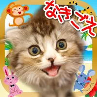 とびだす動物タッチ icon
