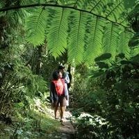 Norfolk Island NP Visitors icon