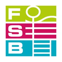 FSB icon