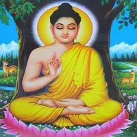 Phật Tâm icon