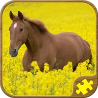 Horse Jigsaw Puzzles - Brain Training Games icon