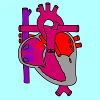 Single Ventricle Circulation icon