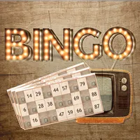 Bingo TV Cards icon