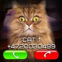 Fake Video Call Cat icon