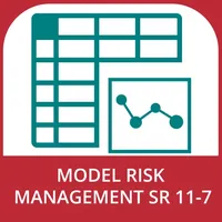 Model Risk Management SR 11-7 icon