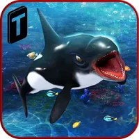 Killer Whale Beach Attack 3D icon