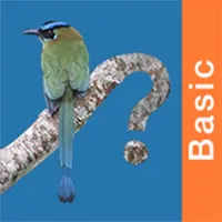 Panama Birds Field Guide Basic icon