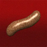 Sausage Party icon