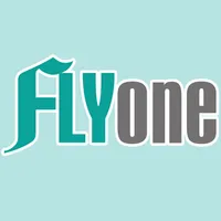 FLYone泓愷科技 行車導航品牌 icon