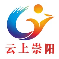 云上崇阳 icon