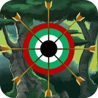 Arrow Game : Archery Master icon